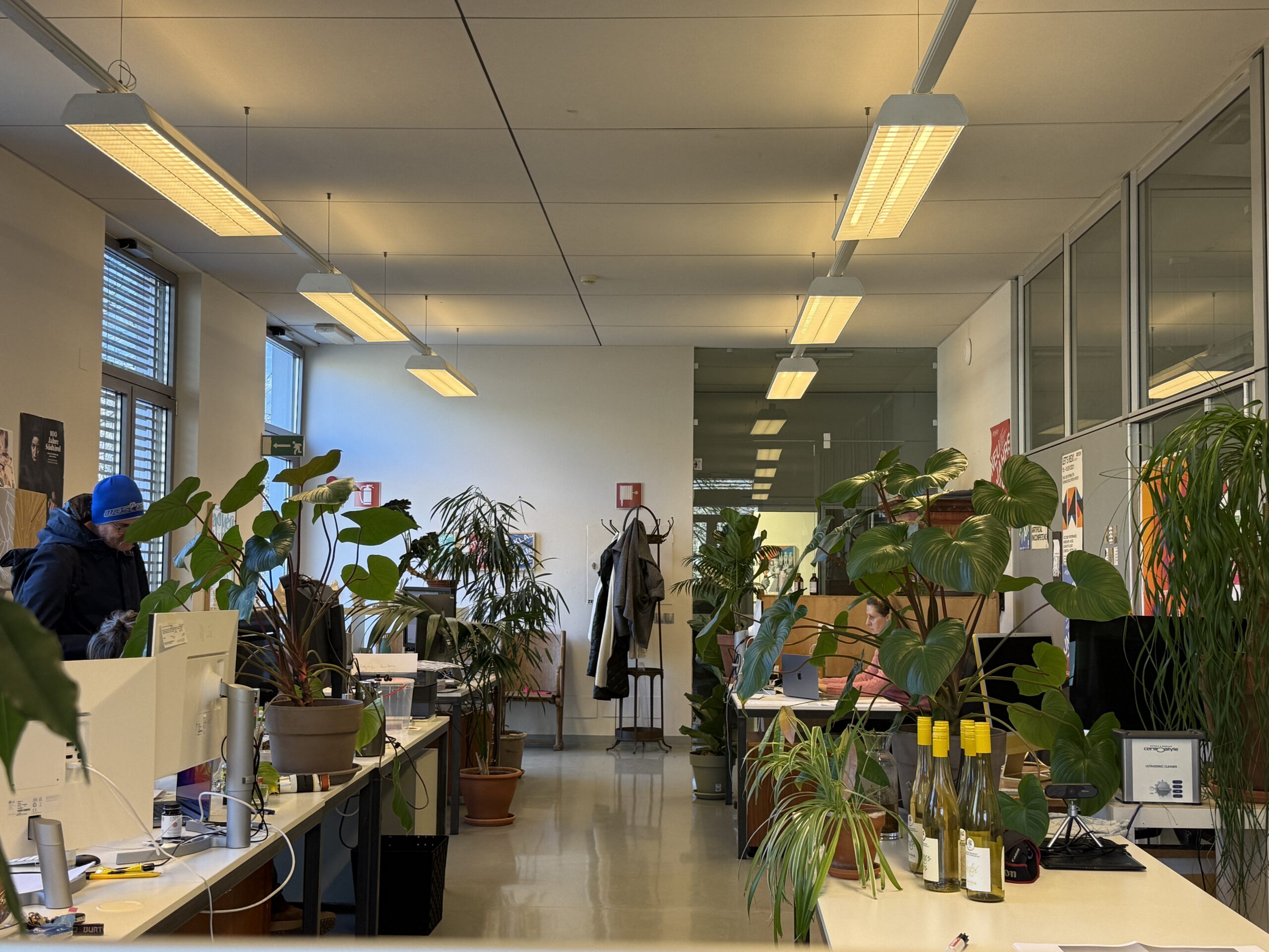 Modernes Büro mit Pflanzen auf Schreibtischen, helle Beleuchtung