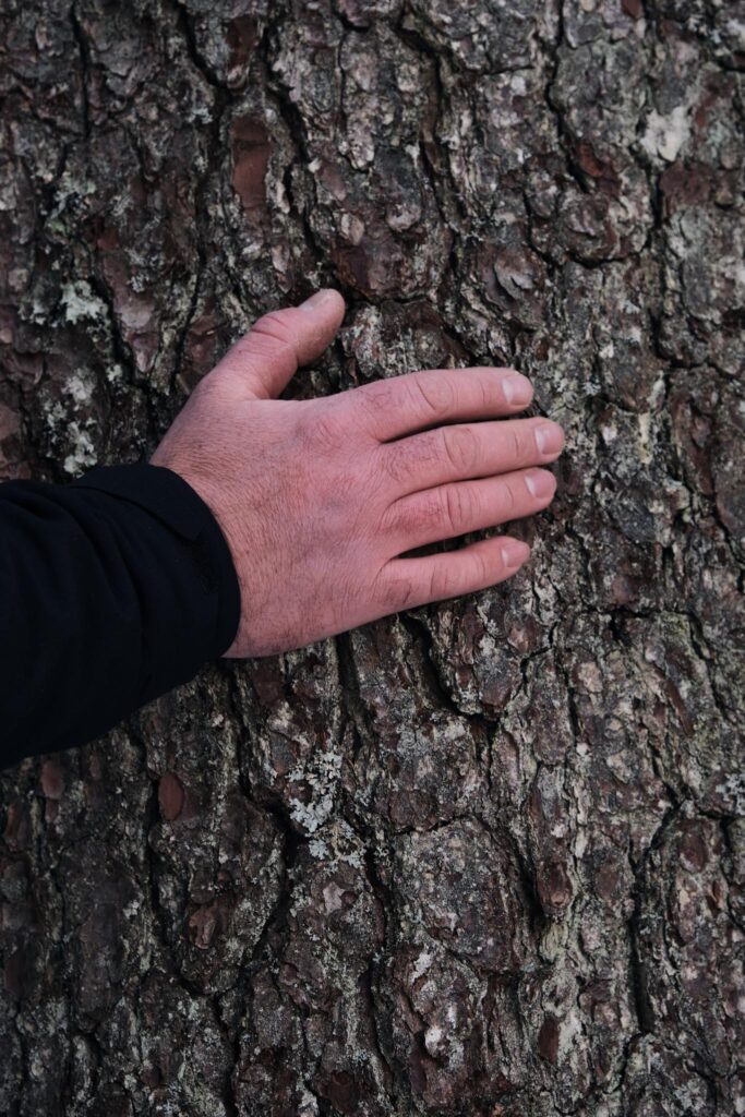 Hand berührt Baumrinde mit Flechtenbewuchs