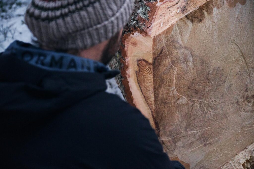 Person betrachtet großen, angeschnittenen Baumstamm im Freien